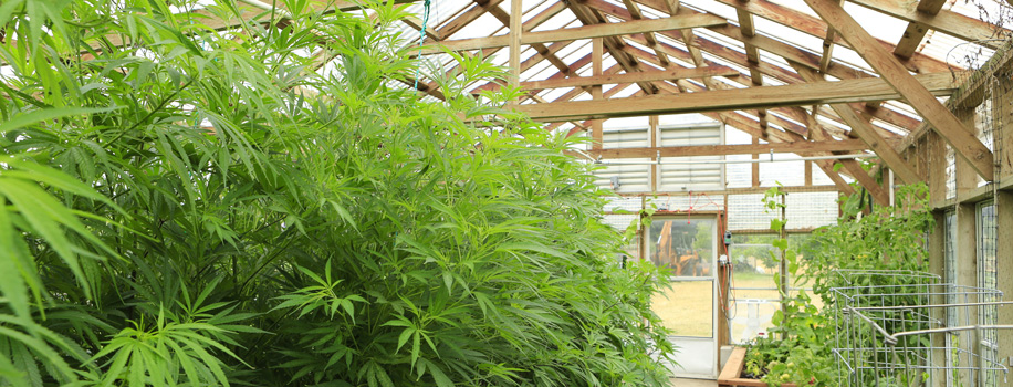 Security Solutions for Apartments in Conway , SC